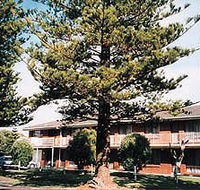 Eastern Beach Holiday Units - Tourism Noosa