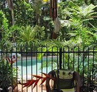 Daintree Rainforest Retreat Motel - Tourism Noosa
