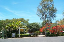 Paddys Green QLD Tourism Noosa