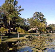 Twin Lakes Hotel - Tourism Noosa