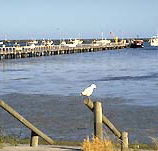 Seaview Motel and Holiday Units - Tourism Noosa