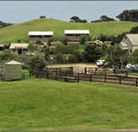Ace Hi Riding Ranch - Tourism Noosa