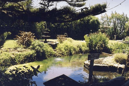 Bayside Gardens - Tourism Noosa