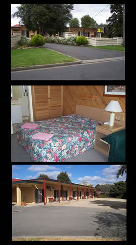 Ace Swan Motel - Tourism Noosa 0