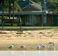 Best Western Coastal Waters Motor Inn - Tourism Noosa