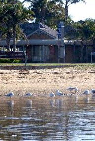 Best Western Coastal Waters Motor Inn - Tourism Noosa 2