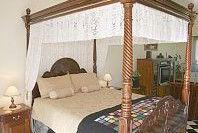 Pepper Tree Ridge B And B - Tourism Noosa 3