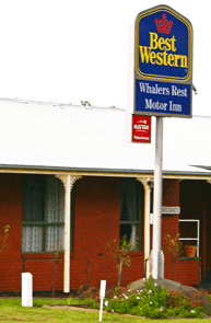 Best Western Whalers Rest Motor Inn - Tourism Noosa