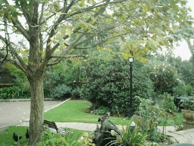 The Noble Grape - Tourism Noosa 1