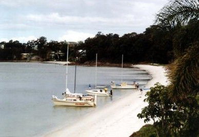 The Mitchells Waterfront B & B - Tourism Noosa 2