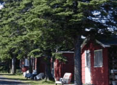 The Pines Resort - Tourism Noosa 3