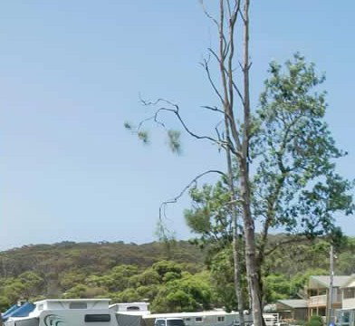 Merry Beach Caravan Park - Tourism Noosa 2