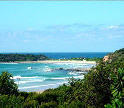  Tourism Noosa