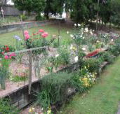 Kintail Homestay - Tourism Noosa