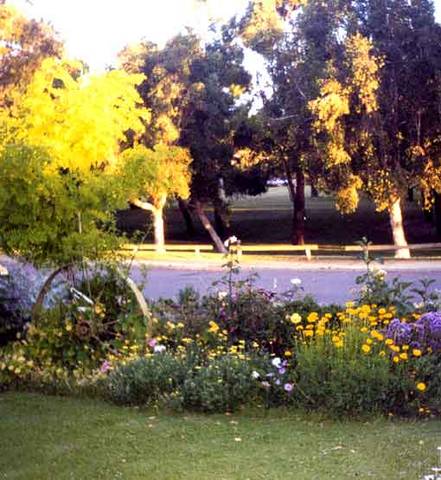 Parkside Bed And Breakfast - Tourism Noosa 1