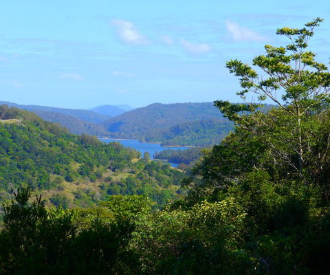 Lillypillys Cottages & Day Spa - Tourism Noosa 6