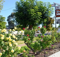 Narrogin Motel - Tourism Noosa