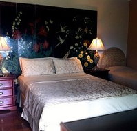 Daintree Manor - Tourism Noosa