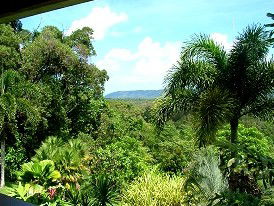 Daintree Manor - Tourism Noosa 3