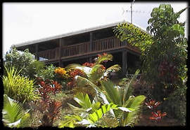 Daintree Manor - Tourism Noosa 5