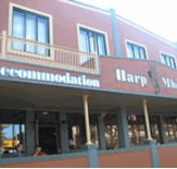 Harp Deluxe Hotel - Tourism Noosa