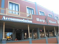 Harp Deluxe Hotel - Tourism Noosa 0