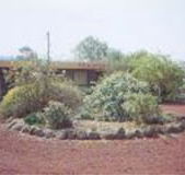 Beaufort Motel - Tourism Noosa