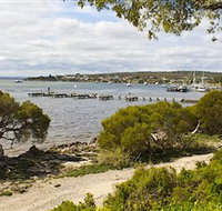 Seagulls Wrest Point - Tourism Noosa