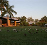 Feathers Sanctuary - Tourism Noosa