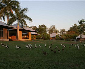 Feathers Sanctuary - Tourism Noosa 0
