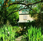 Dennis Cottage - Tourism Noosa
