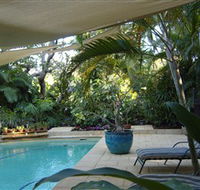 Lily Pad - Tourism Noosa