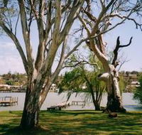 Shack 31 Bolto Reserve - Tourism Noosa