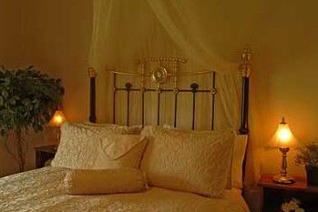 Citrus Cottage - Tourism Noosa 2