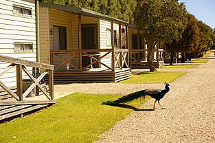 Other - Tourism Noosa 3