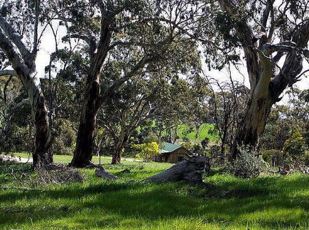 Wuthering Heights - Bronte Manor - Tourism Noosa 3