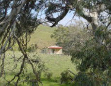 Saunders Gorge Sanctuary - Hideaway Cottage - Tourism Noosa 1