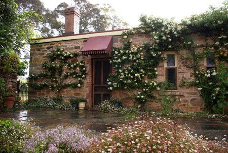 The Heritage Garden - Tourism Noosa 1