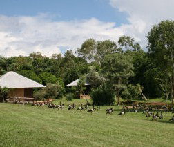 Feathers Sanctuary - Tourism Noosa 3
