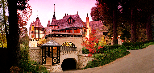 Thorngrove Manor - Tourism Noosa 0