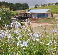 The Blue Grape Vineyard Accommodation - Tourism Noosa