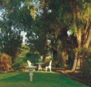 Riverfront Retreat - Tourism Noosa