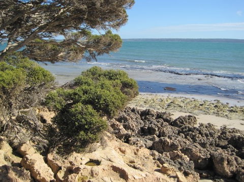 Wallaby Beach House - Tourism Noosa 4