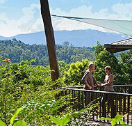 Rose Gums Wilderness Retreat - Tourism Noosa