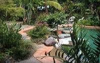 Galvins Edge Hill Bed And Breakfast - Tourism Noosa 5