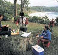 Fortescue Bay Camping Ground - Tourism Noosa