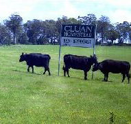 Cluan Homestead - The Managers Residence - Tourism Noosa