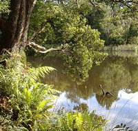 Weldborough Camping Ground - Tourism Noosa