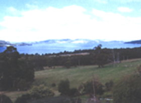 Waterview Gardens - Tourism Noosa 0