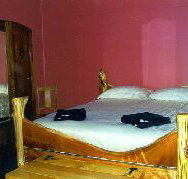 Rack and Rail - Tourism Noosa